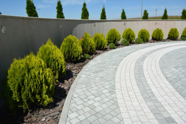 Best Brick Driveway Pavers  in Muenster, TX